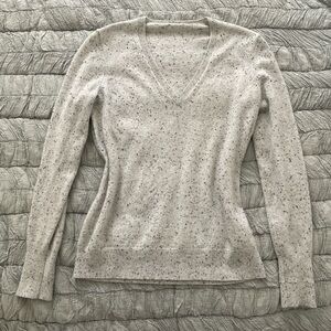 Everlane 100% Cashmere Sweater